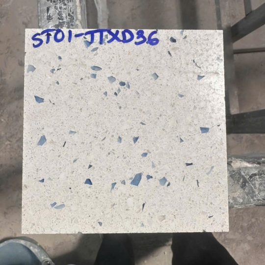 ST01-TTXD36